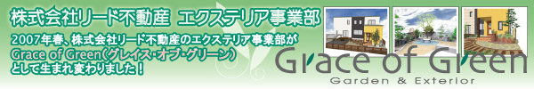 Grace of Green 524OPENII